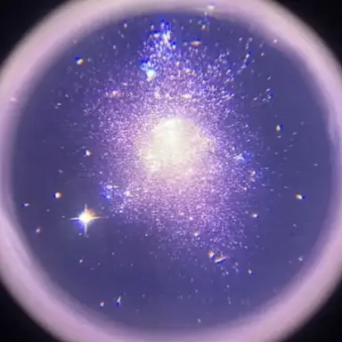 Profile image of ネス