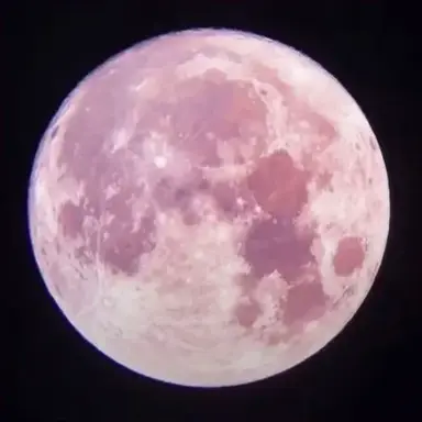 Profile image of ウェン