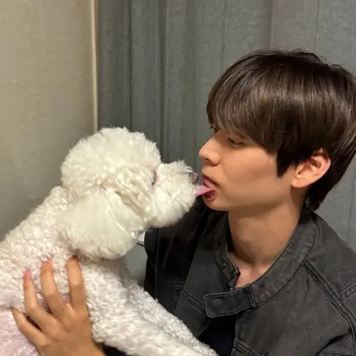 6yxuxu의 송은석