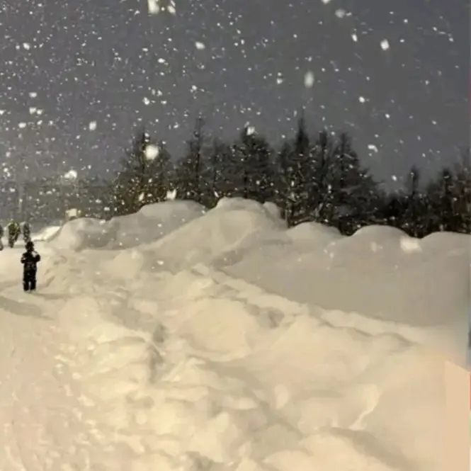 SpongyPants6870의 주민현