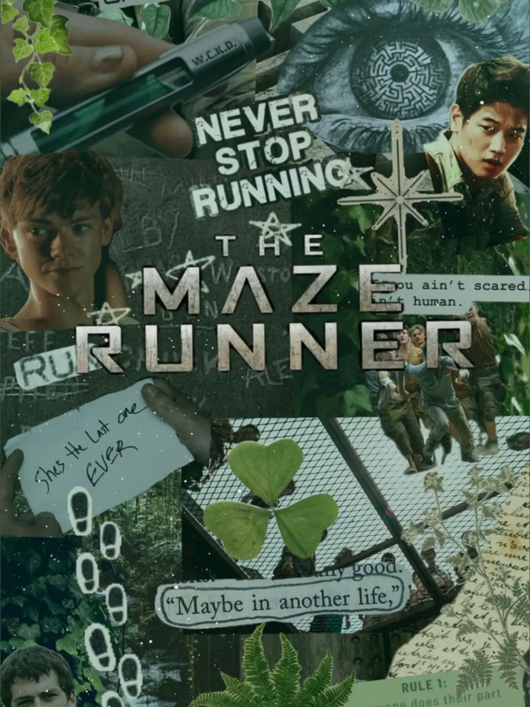 Tmrfan4ever의 — TMR RPG (more minho👀)