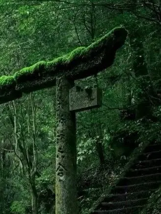 FutureScore1335의 ⟡꙳