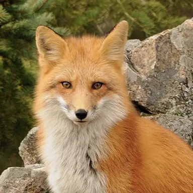 Profile image of ペク・ハヌル