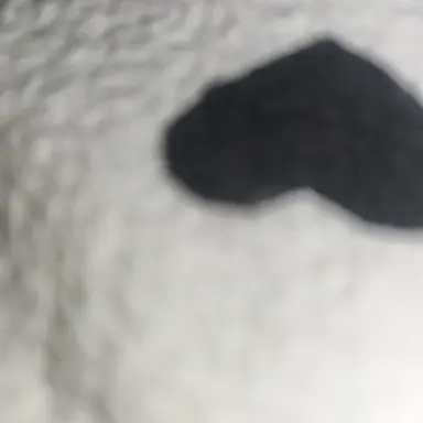 Profile image of 신유