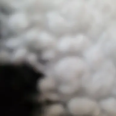 Profile image of 경민