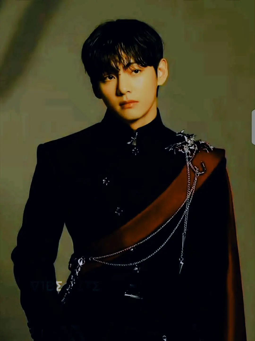 SilverFresh6566의 𝐀 𝐒𝐄𝐂𝐑𝐄𝐓 𝐕𝐀𝐌𝐏𝐈𝐑𝐄~