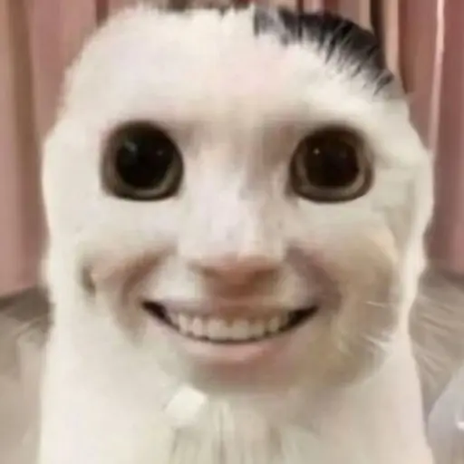 MatteBumppz의 귀여운 고양이(?)