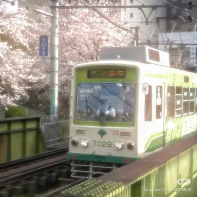 Profile image of 스즈카