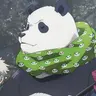 Profile image of パンダ