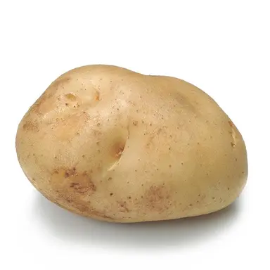 Profile image of 감자