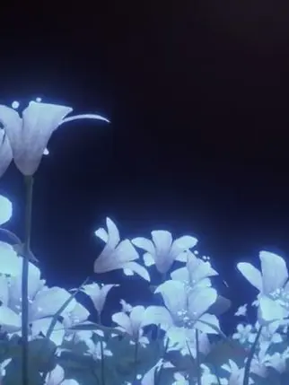 surinuke.com의 暗闇に花が咲く