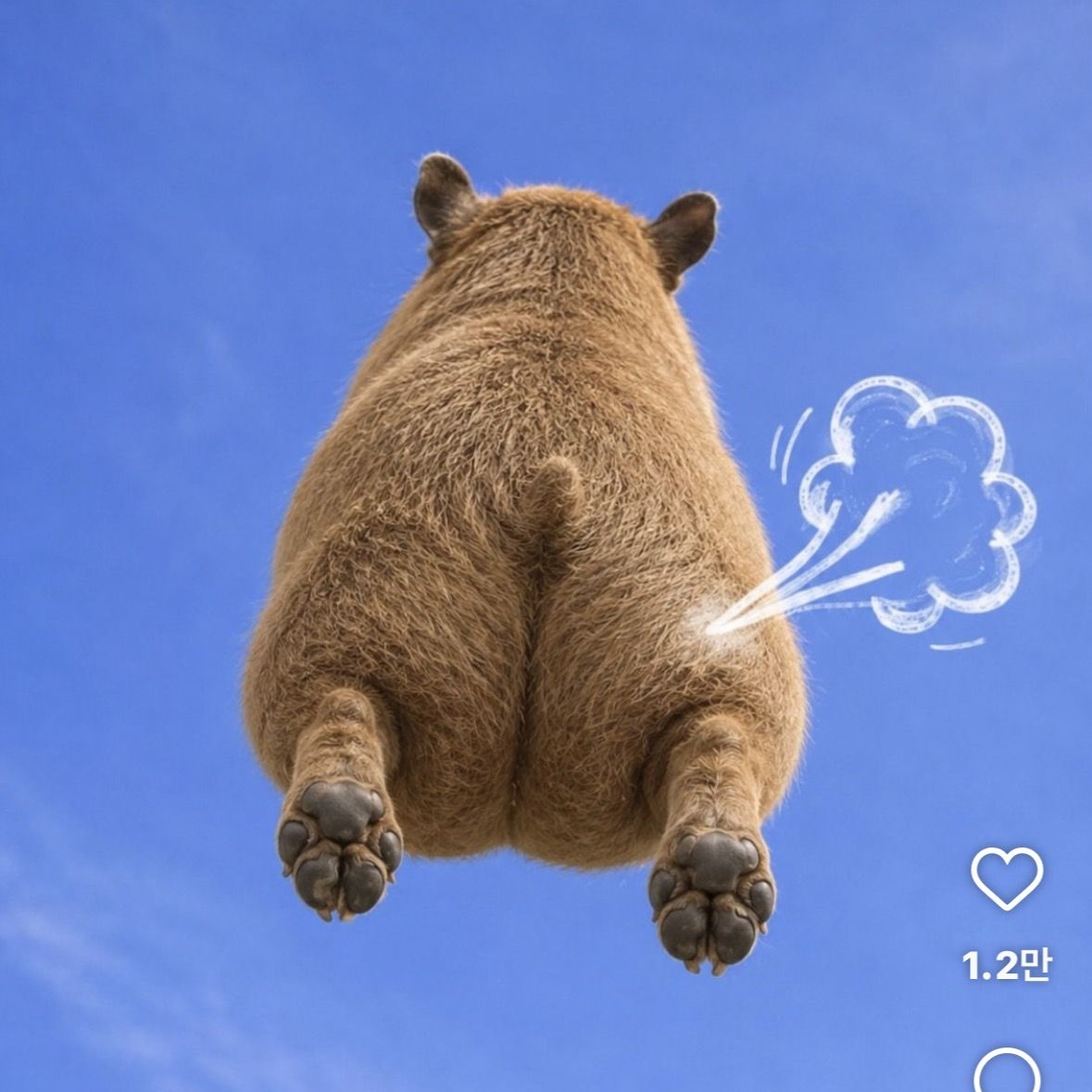 . 대표 이미지