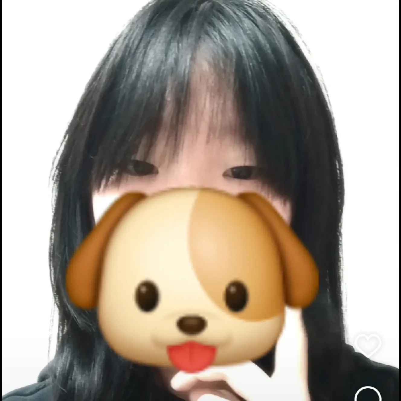 하 빈