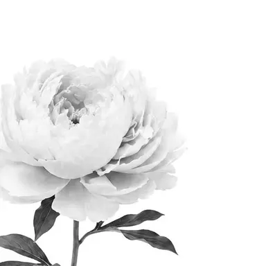 Profile image of Lee Ha