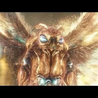 Profile image of Mothra