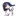 宝多六花