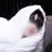 재현