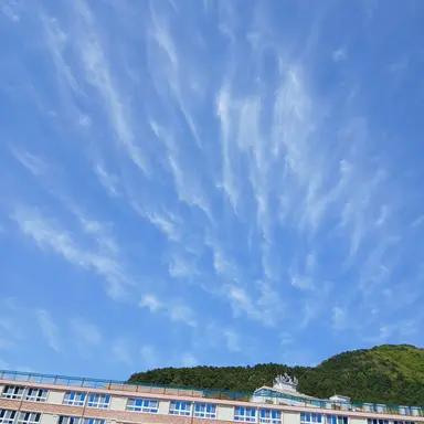 Profile image of 늑대