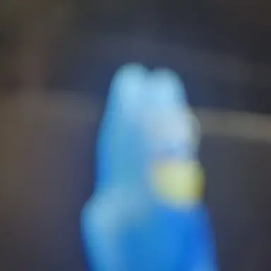 Profile image of 플럼보