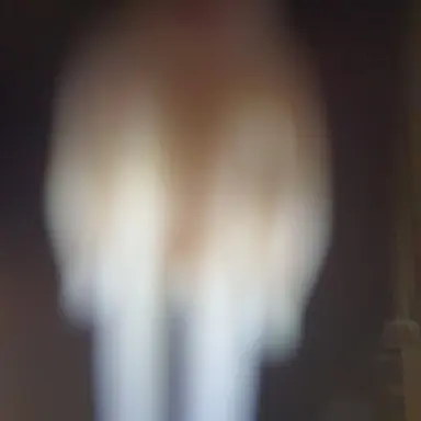 Profile image of 반발리나