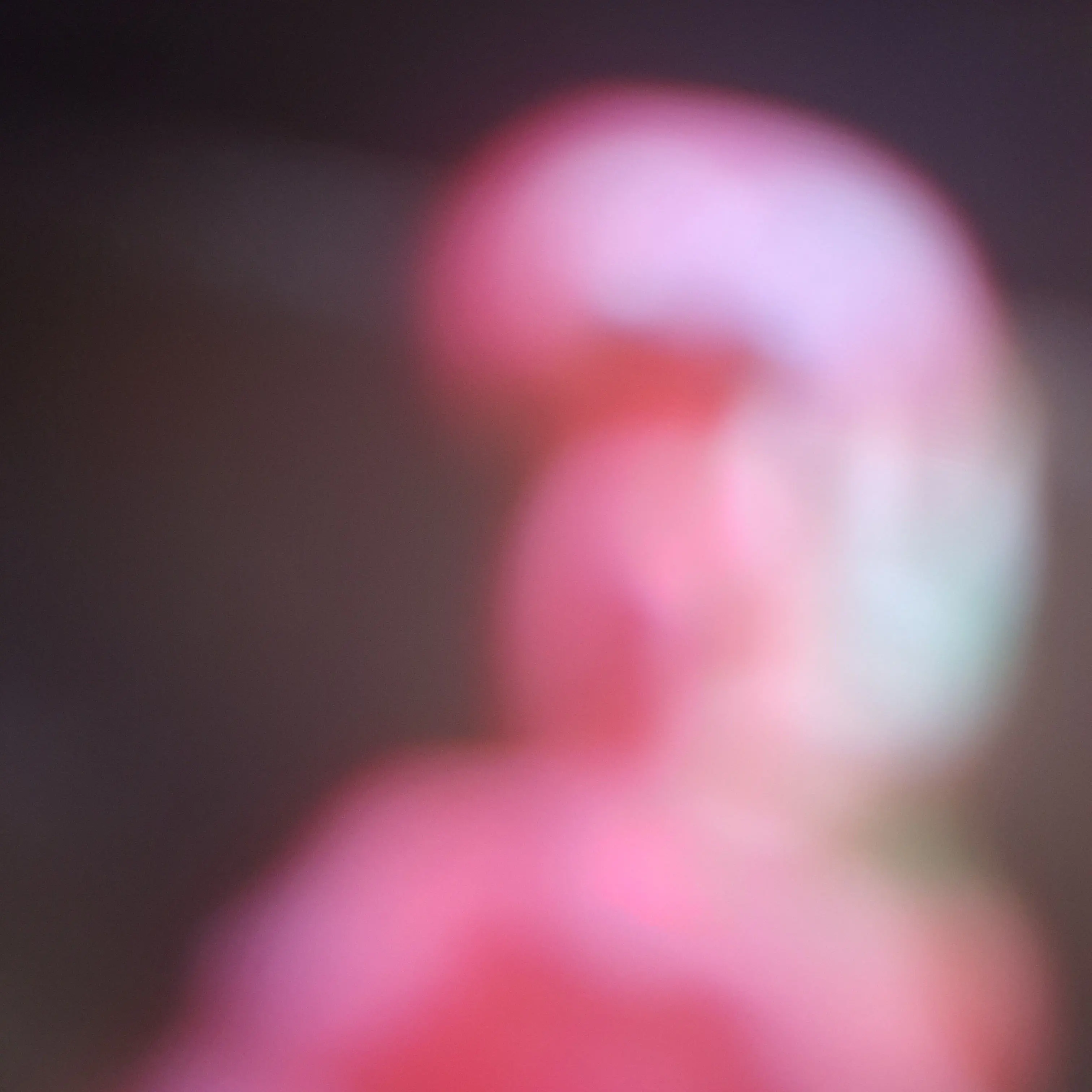 LiveWater2736의 반반의유치원 "장로가 준걸틀어!"