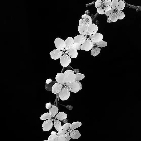 this_is_cherry_too의 이석겸
