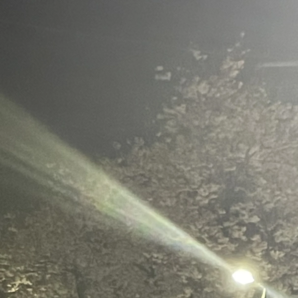 최연준