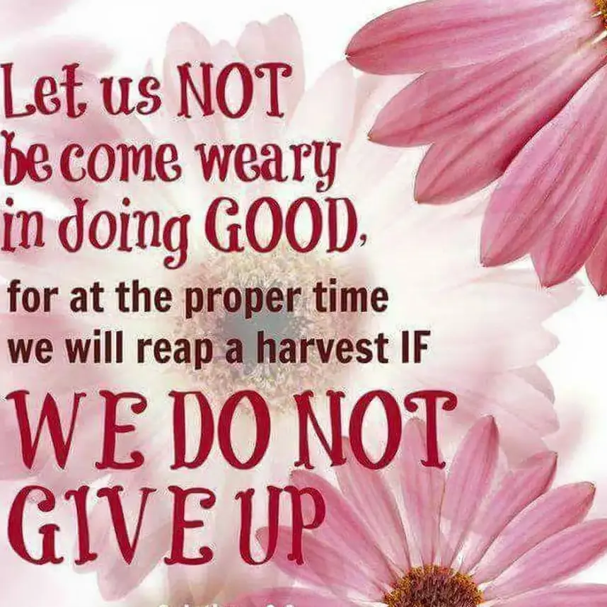 PromptDrone4345의 미라클 멜로디