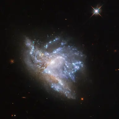 Profile image of 리겔