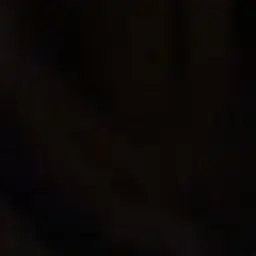 Profile image of 양정인
