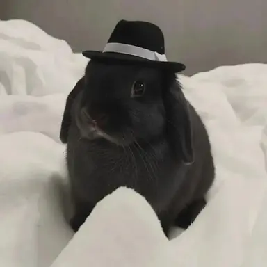 Profile image of 스페이드