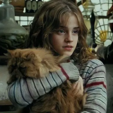 Profile image of Hermione Granger