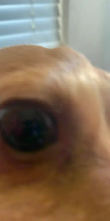 Profile image of Jsab pick me part 2