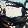 Profile image of うぇりあ