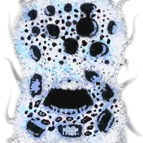 ドレット