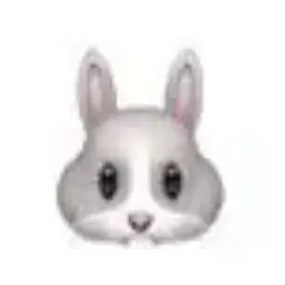 Profile image of 網代 聖人