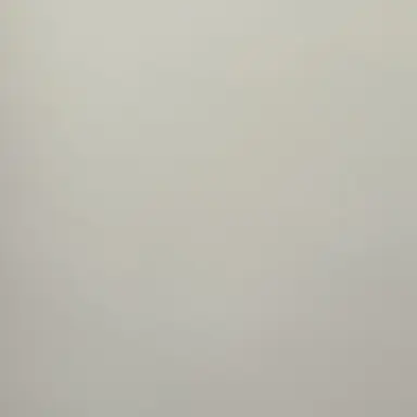 Profile image of 이수진