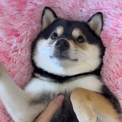 はるくん