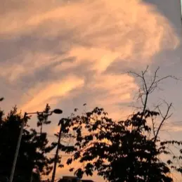 Profile image of 라유