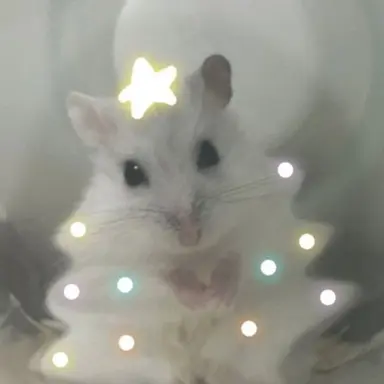 Profile image of 학교일찐1