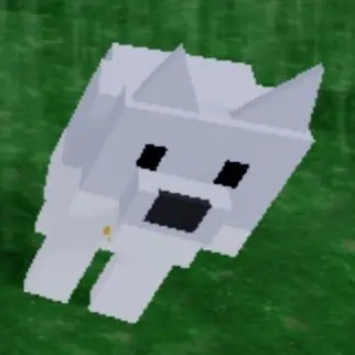 Profile image of 시하