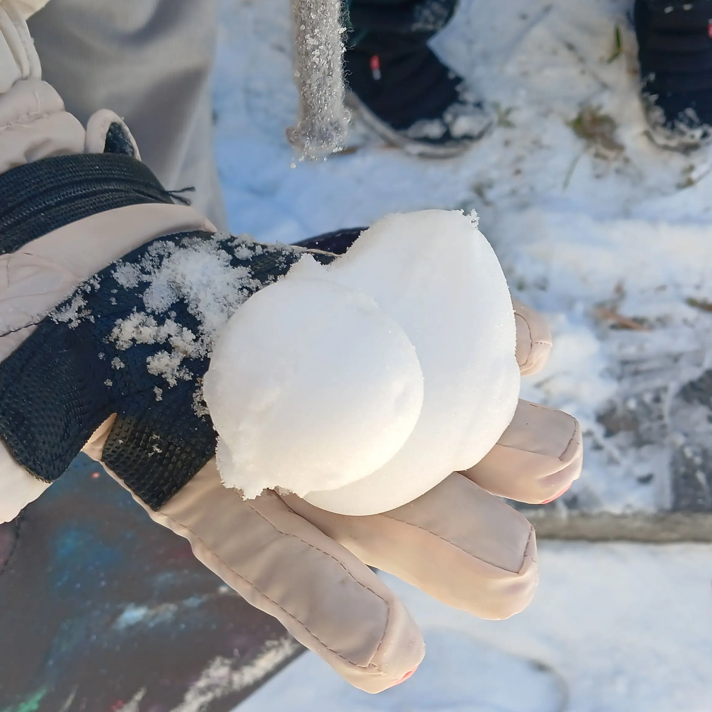 LooseFog9379의 평범한 나른한 페밀리(?)