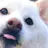 こてつ