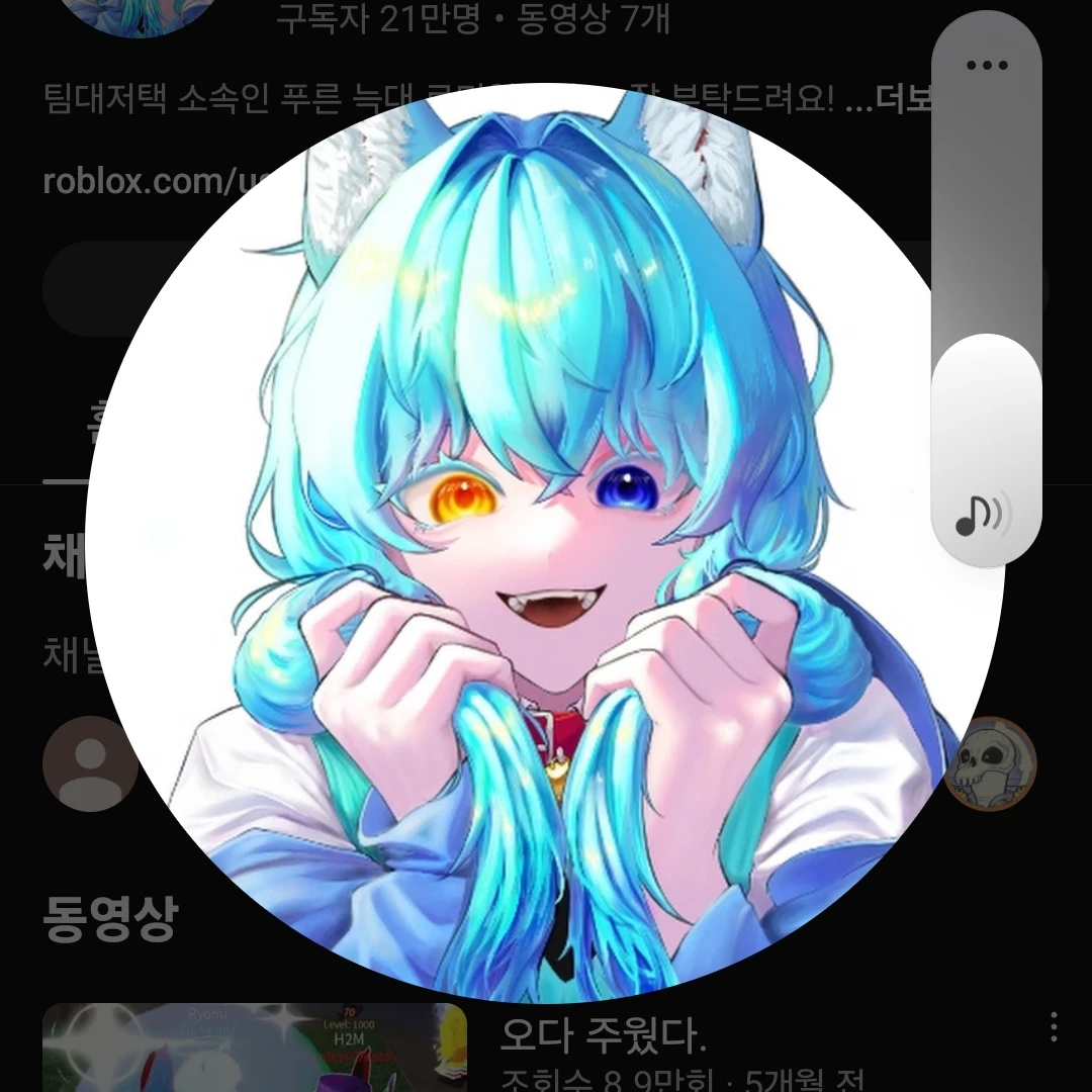 료미