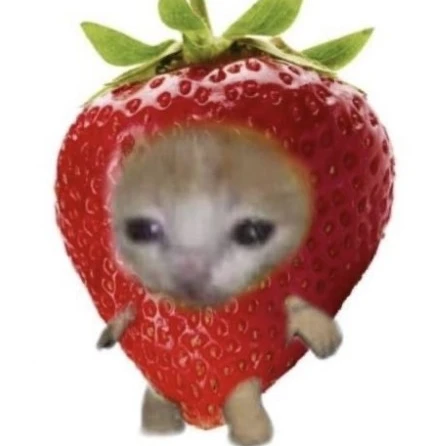 딸기캣