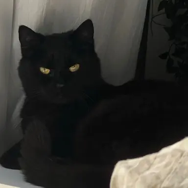 Profile image of 박종건