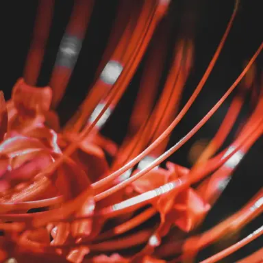 Profile image of 大森元貴