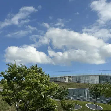 Profile image of 권지용