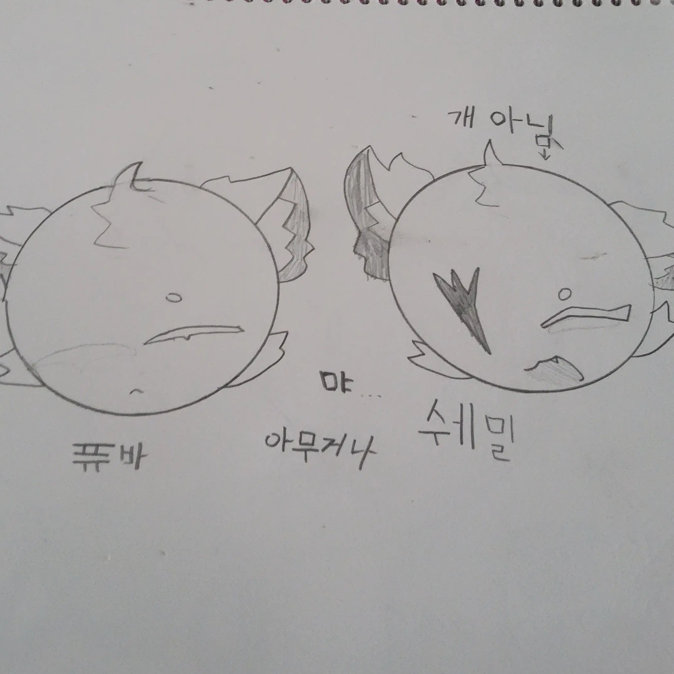 PlaidInk3362의 퓨바,쉐밀