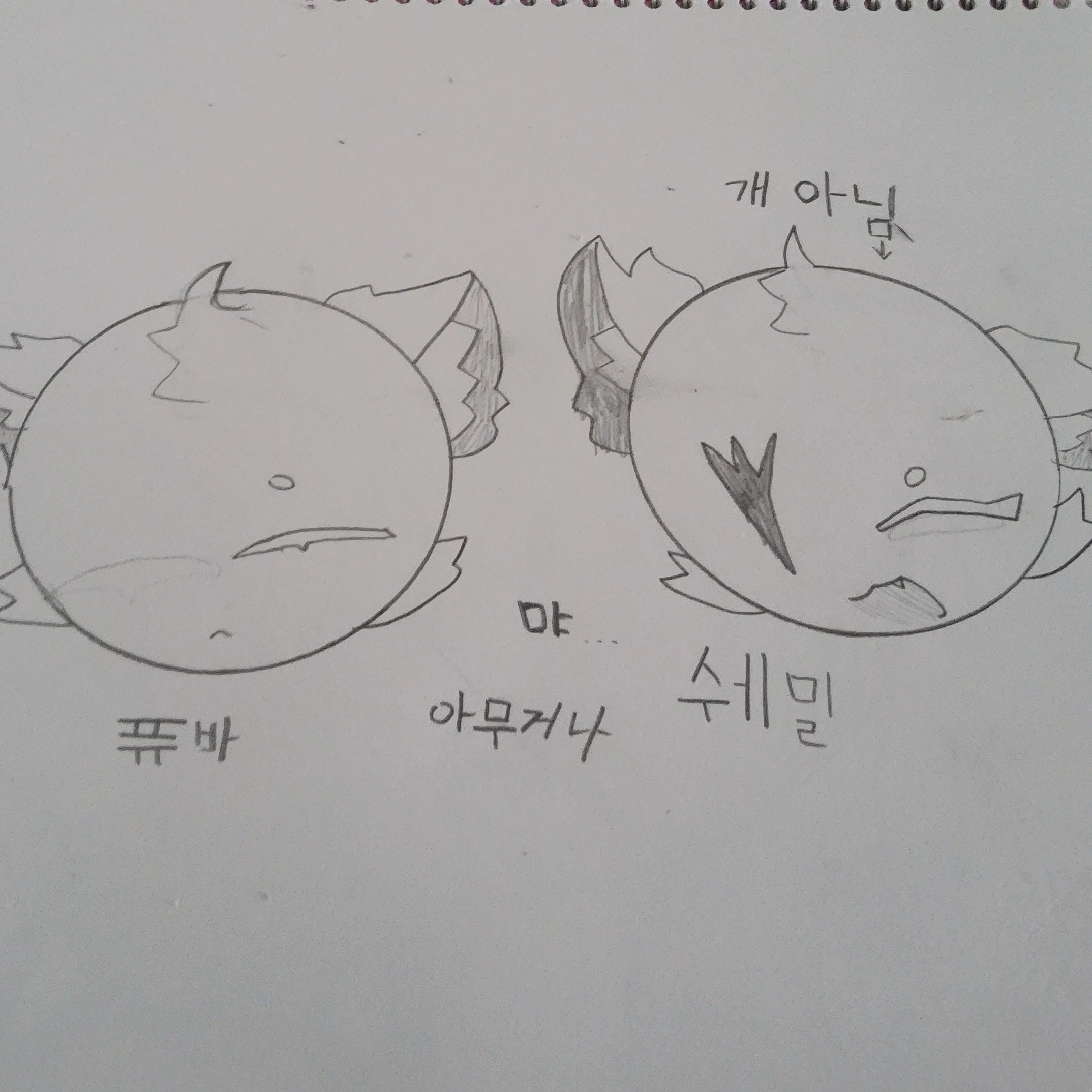 퓨바 쉐밀